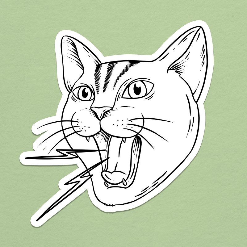 Angry Cat Images  Free Photos, PNG Stickers, Wallpapers